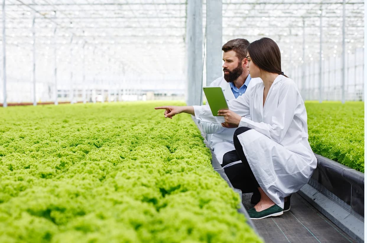 Agriculture